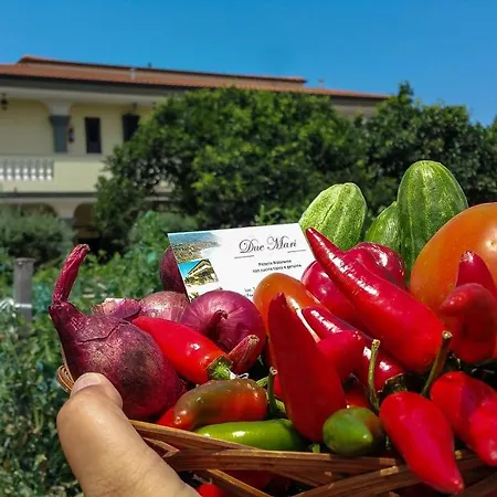 Residenceduemari Capo Vaticano